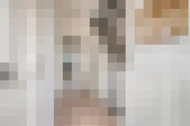 Wieger Bruinlaan 6 Hoofddorp thumbnail 13