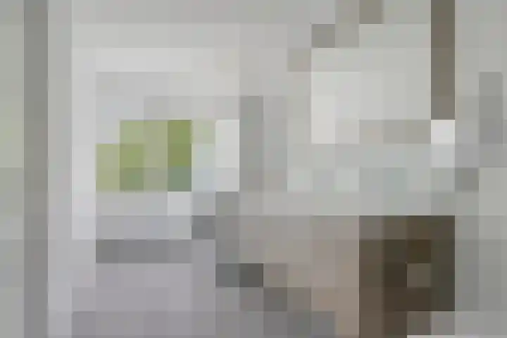 Wieger Bruinlaan 6 Hoofddorp thumbnail 19