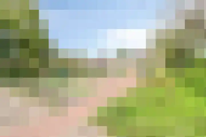Wieger Bruinlaan 6 Hoofddorp thumbnail 26