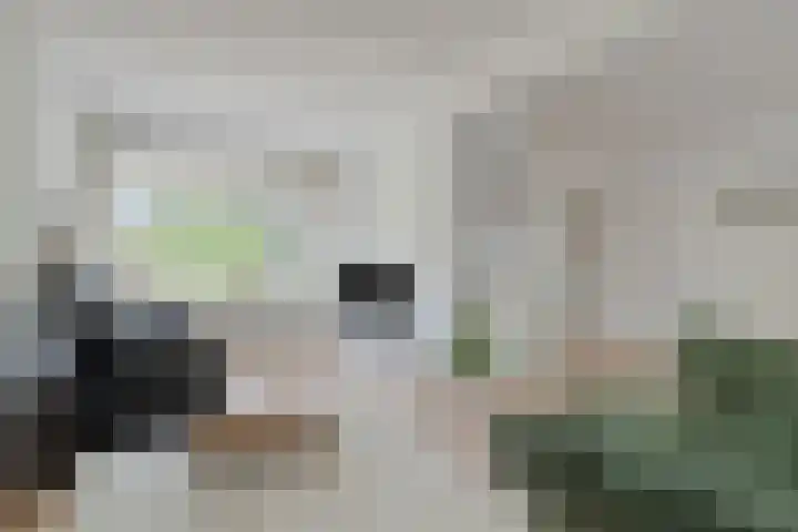 Wieger Bruinlaan 6 Hoofddorp thumbnail 4