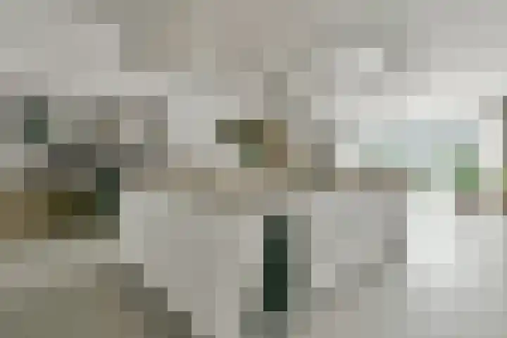 Wieger Bruinlaan 76 Hoofddorp thumbnail 11
