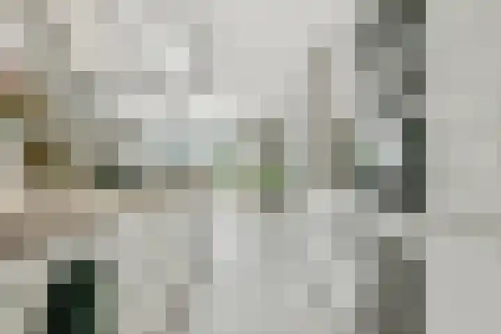 Wieger Bruinlaan 76 Hoofddorp thumbnail 12