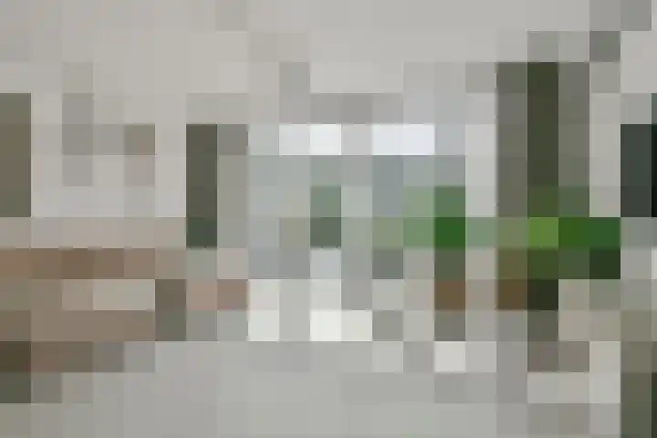 Wieger Bruinlaan 76 Hoofddorp thumbnail 16