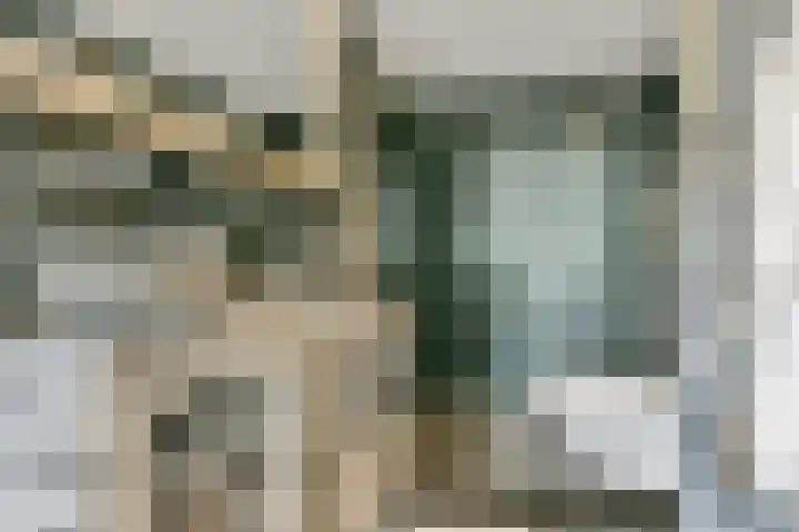 Wieger Bruinlaan 76 Hoofddorp thumbnail 22