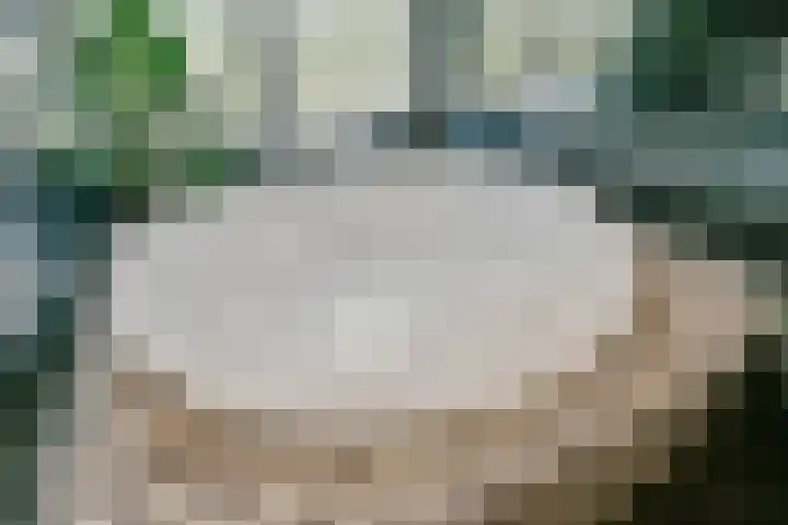 Wieger Bruinlaan 76 Hoofddorp thumbnail 23