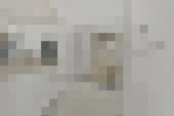Wieger Bruinlaan 76 Hoofddorp thumbnail 8