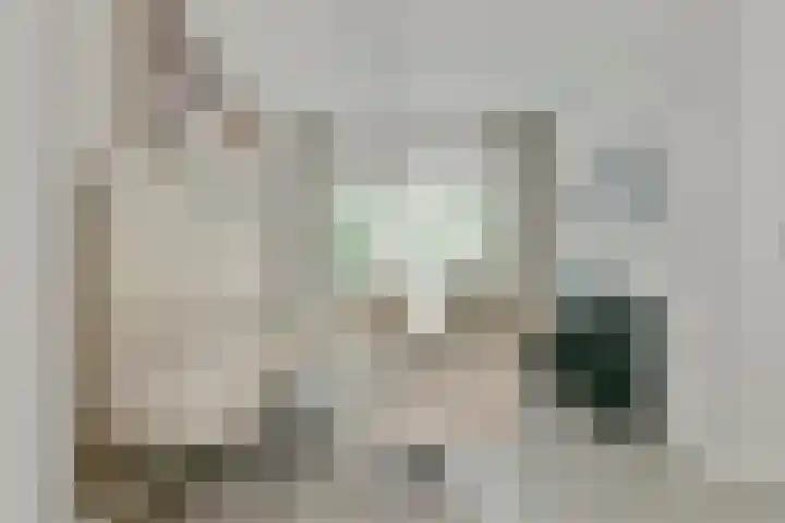 Wieger Bruinlaan 76 Hoofddorp thumbnail 9