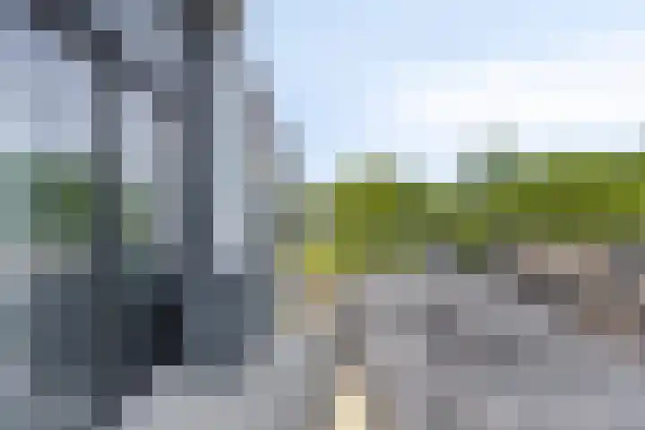 Wieger Bruinlaan 96 B Hoofddorp thumbnail 11