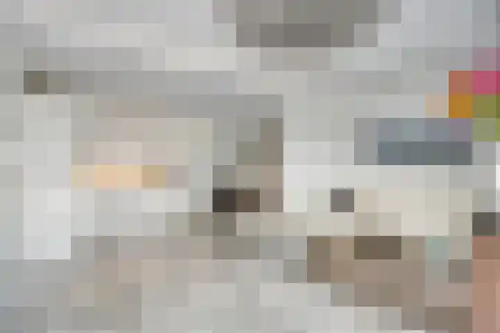 Wieger Bruinlaan 96 B Hoofddorp thumbnail 12