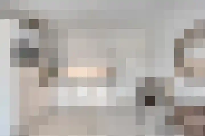 Wieger Bruinlaan 96 B Hoofddorp thumbnail 13