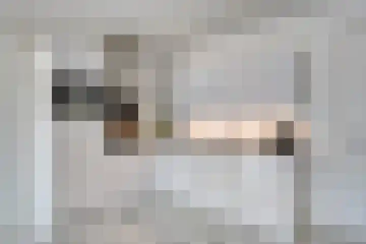 Wieger Bruinlaan 96 B Hoofddorp thumbnail 14