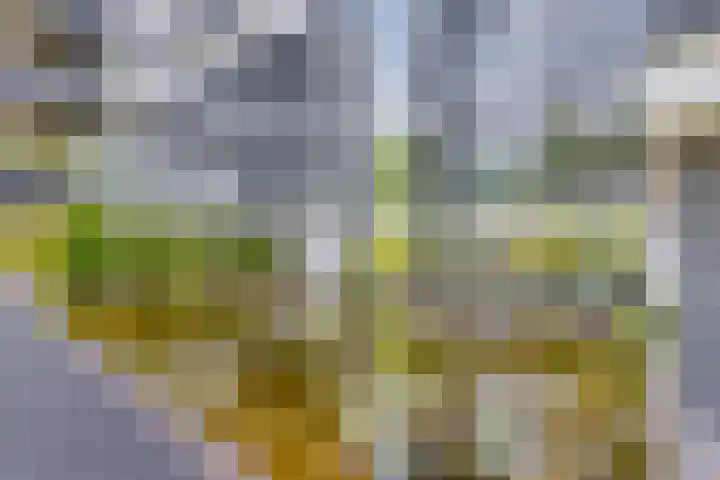 Wieger Bruinlaan 96 B Hoofddorp thumbnail 4