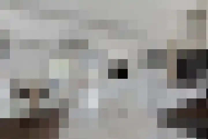 Wieger Bruinlaan 96 B Hoofddorp thumbnail 7