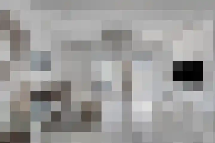 Wieger Bruinlaan 96 B Hoofddorp thumbnail 8
