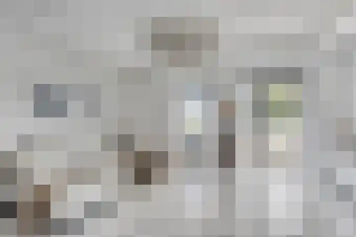 Wieger Bruinlaan 96 B Hoofddorp thumbnail 9
