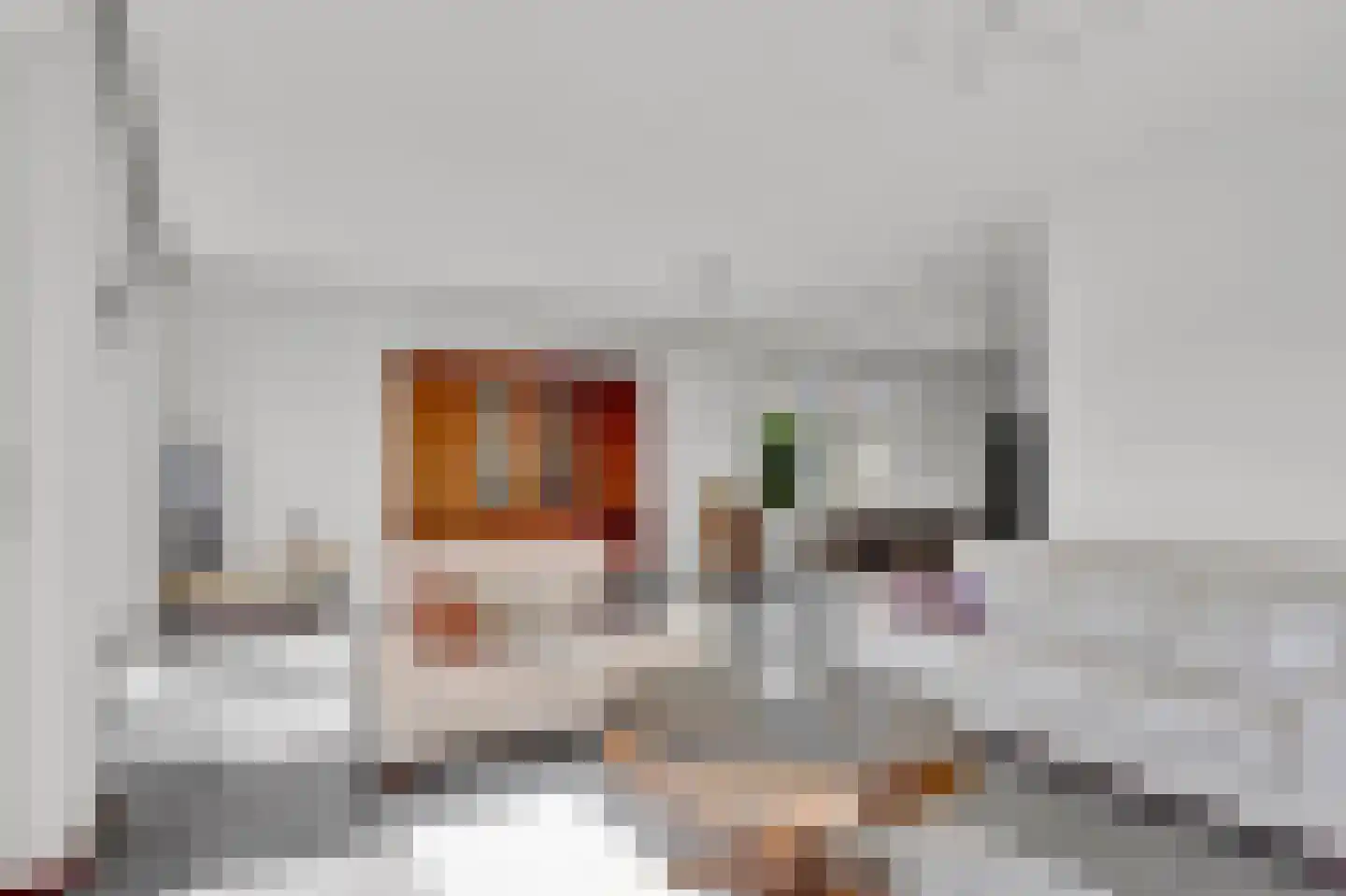 Wieger van Brugstrjitte 5 Workum thumbnail 10