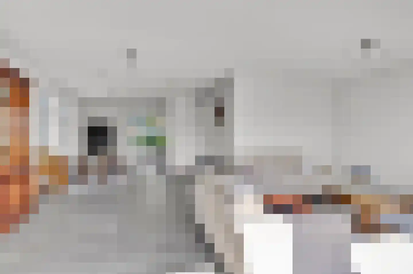 Wieger van Brugstrjitte 5 Workum thumbnail 11