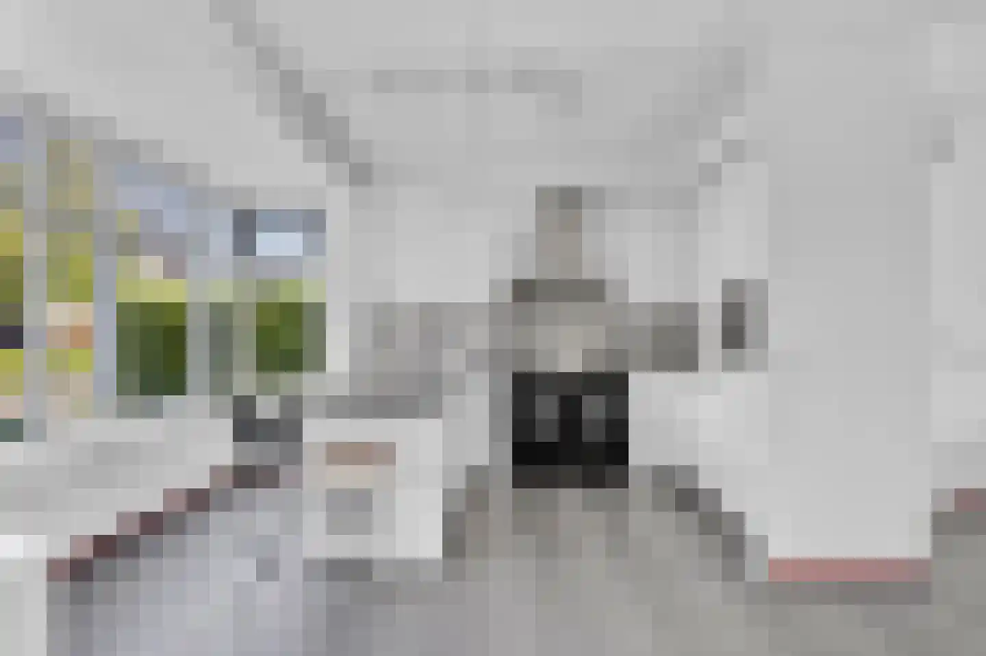 Wieger van Brugstrjitte 5 Workum thumbnail 15