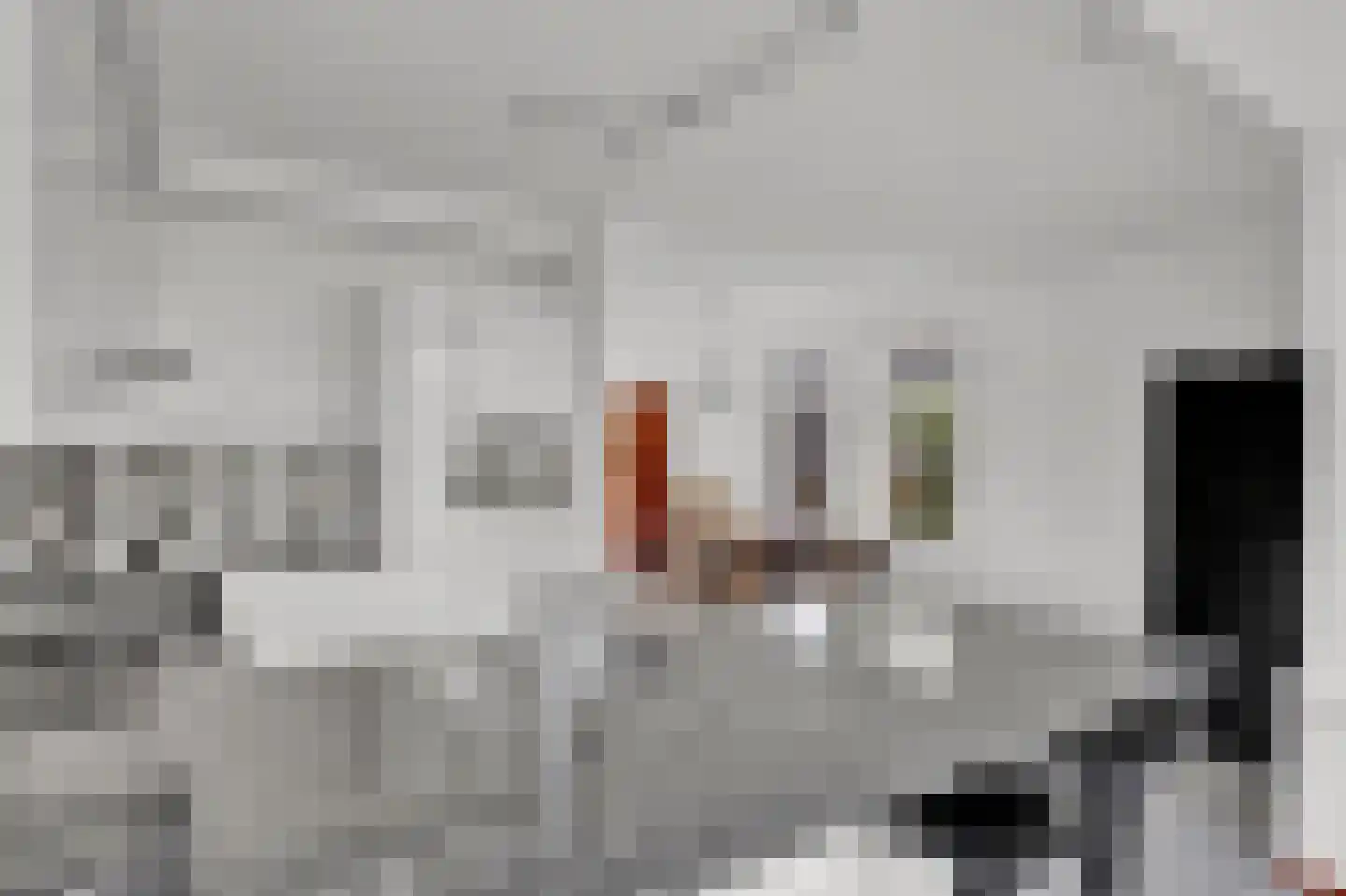 Wieger van Brugstrjitte 5 Workum thumbnail 16