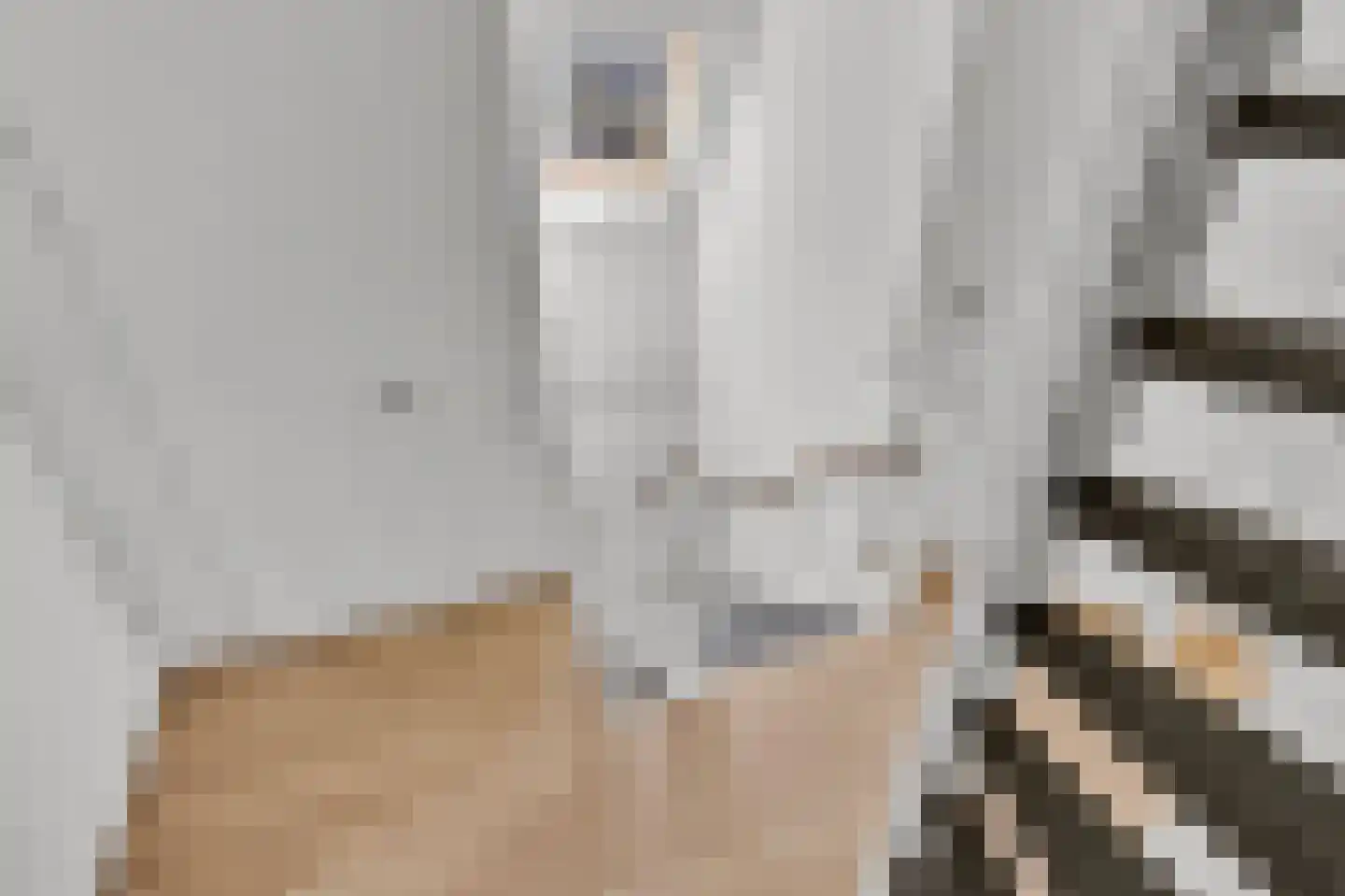 Wieger van Brugstrjitte 5 Workum thumbnail 27