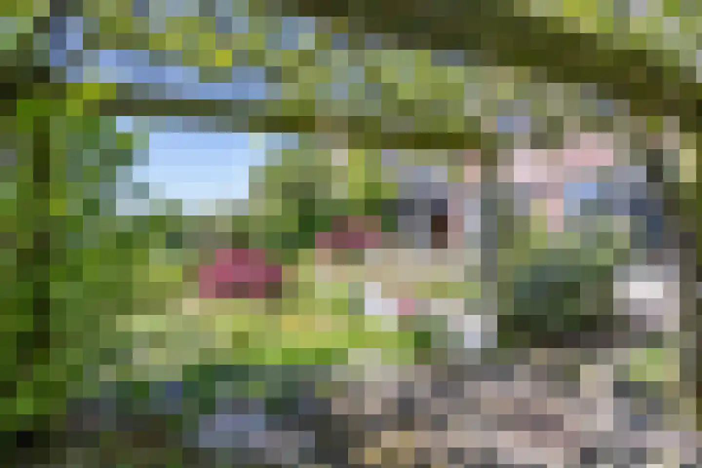 Wieger van Brugstrjitte 5 Workum thumbnail 32