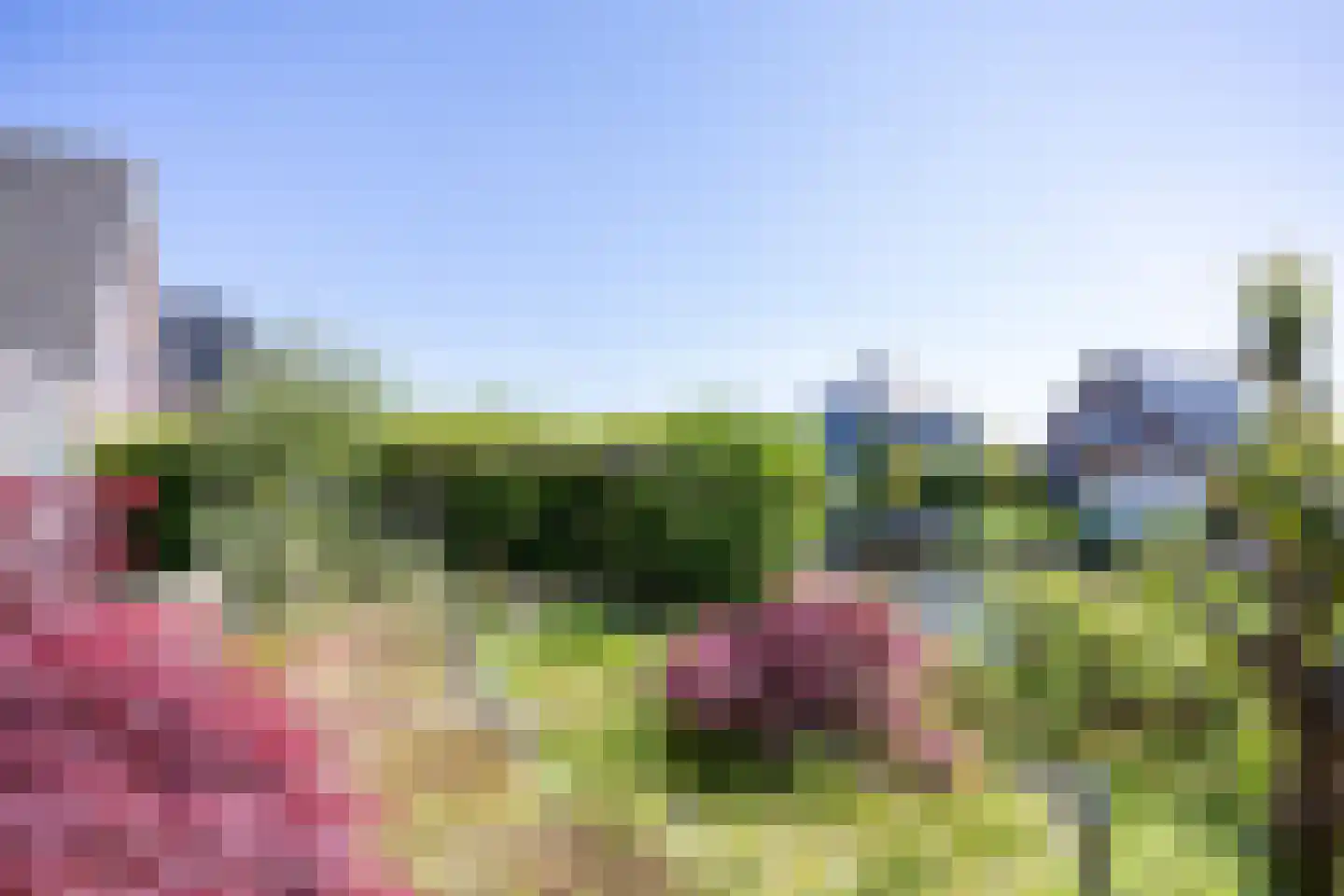 Wieger van Brugstrjitte 5 Workum thumbnail 33