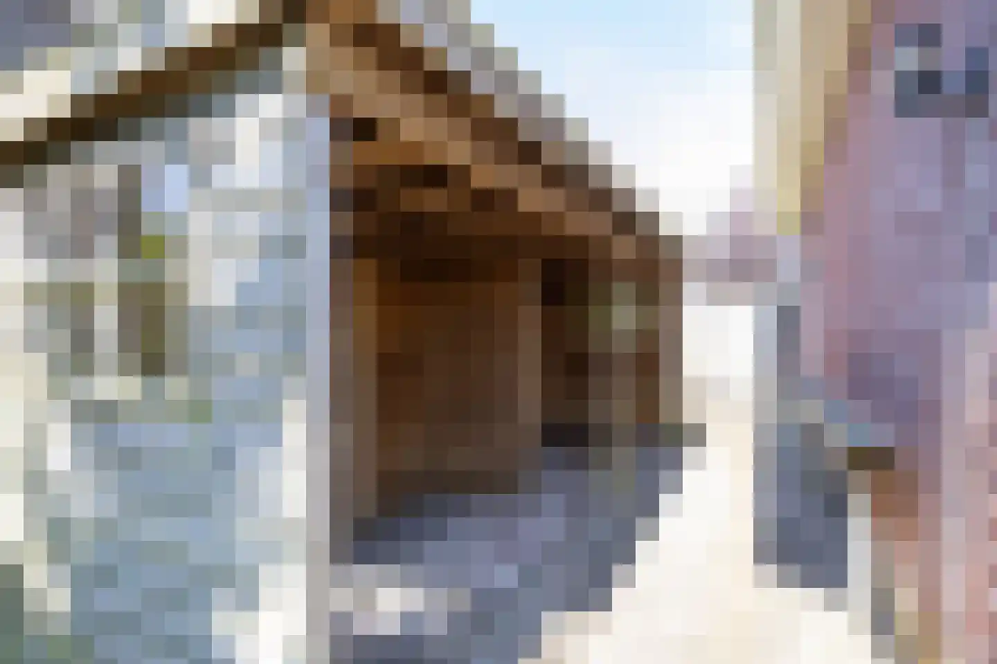 Wieger van Brugstrjitte 5 Workum thumbnail 34