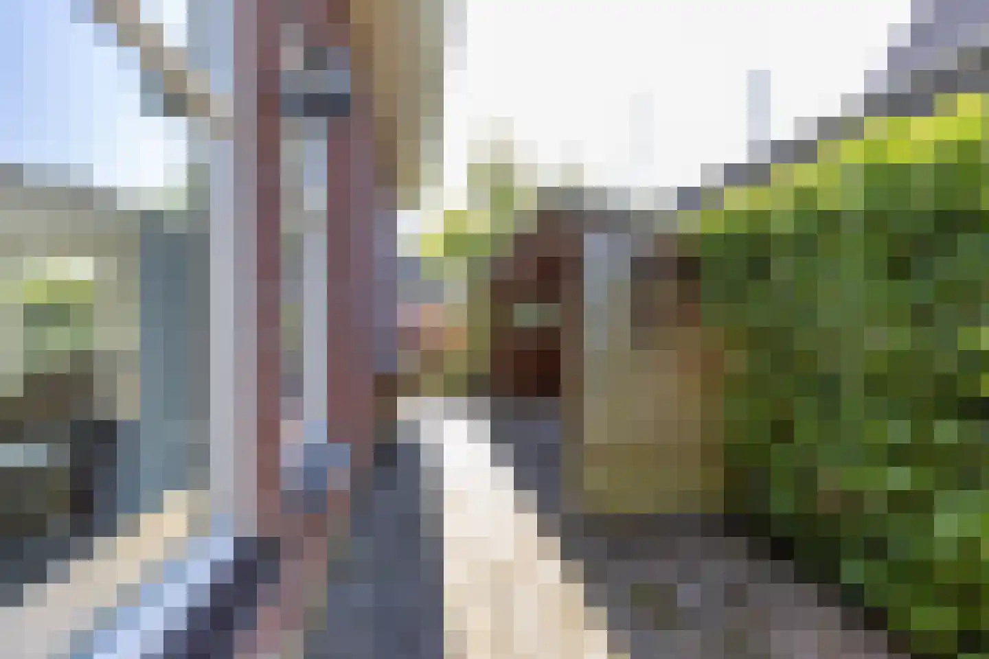 Wieger van Brugstrjitte 5 Workum thumbnail 35