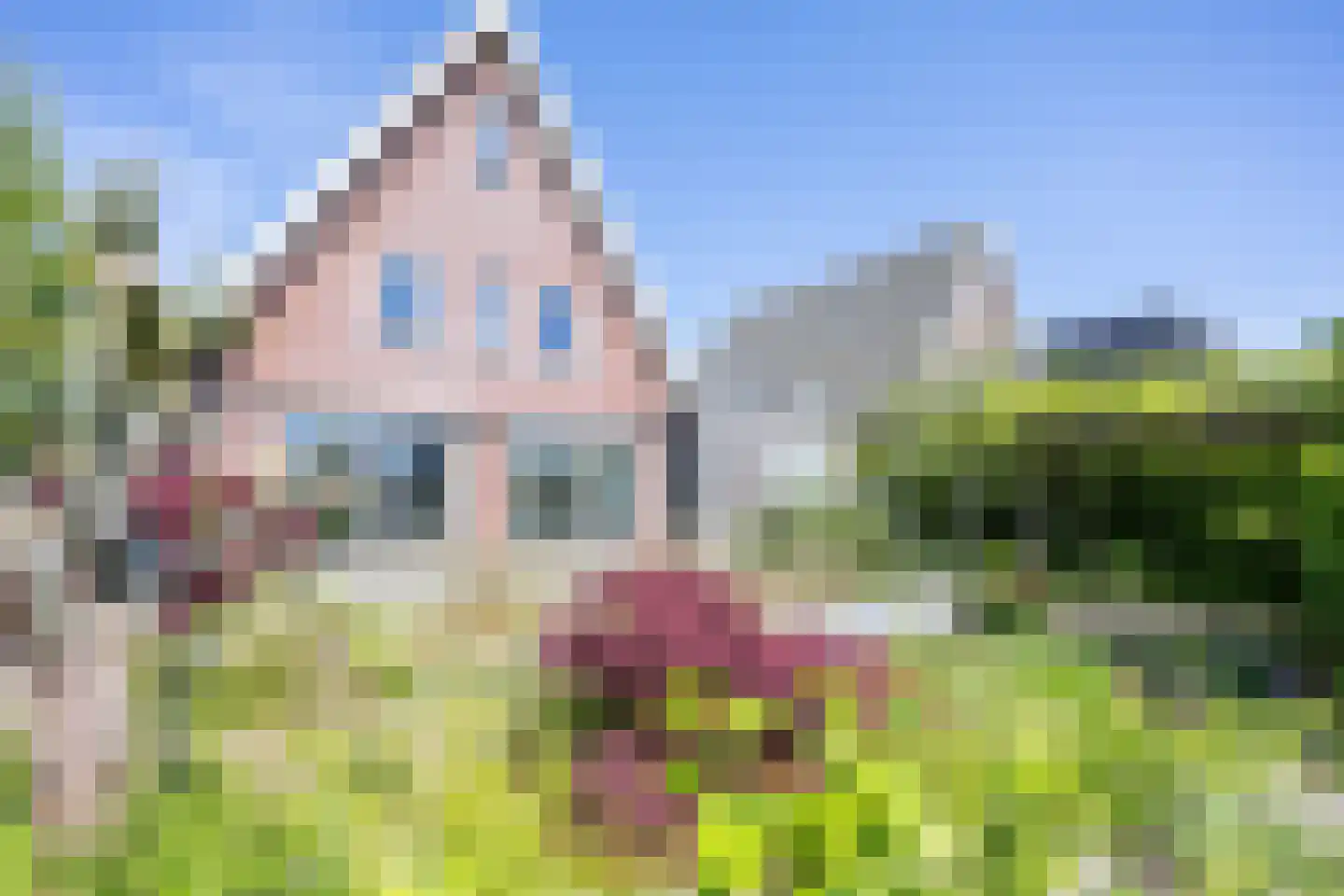 Wieger van Brugstrjitte 5 Workum thumbnail 36