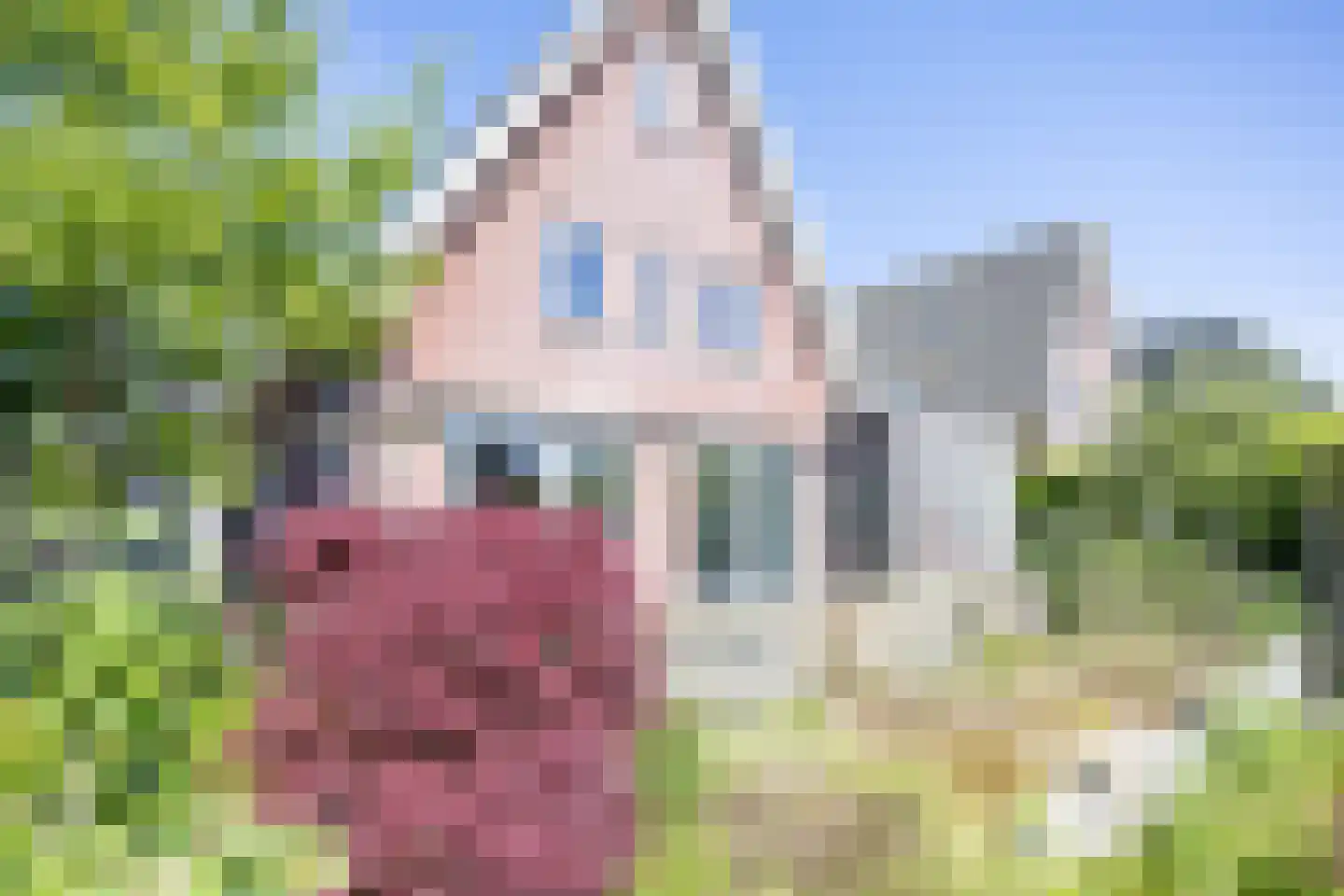 Wieger van Brugstrjitte 5 Workum thumbnail 37
