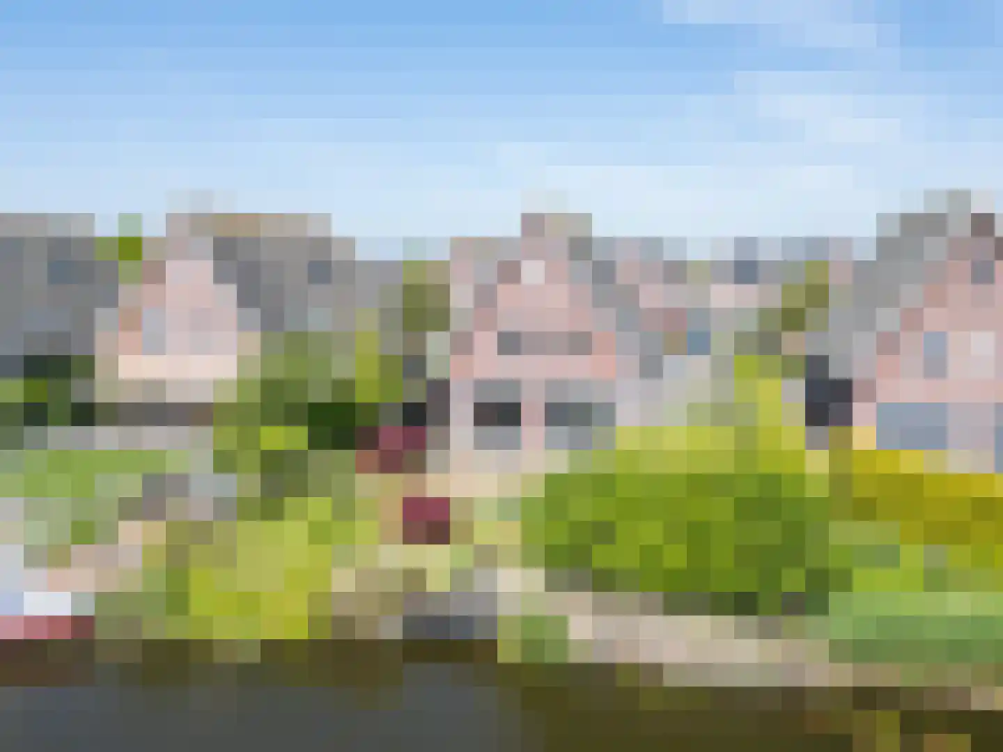 Wieger van Brugstrjitte 5 Workum thumbnail 38