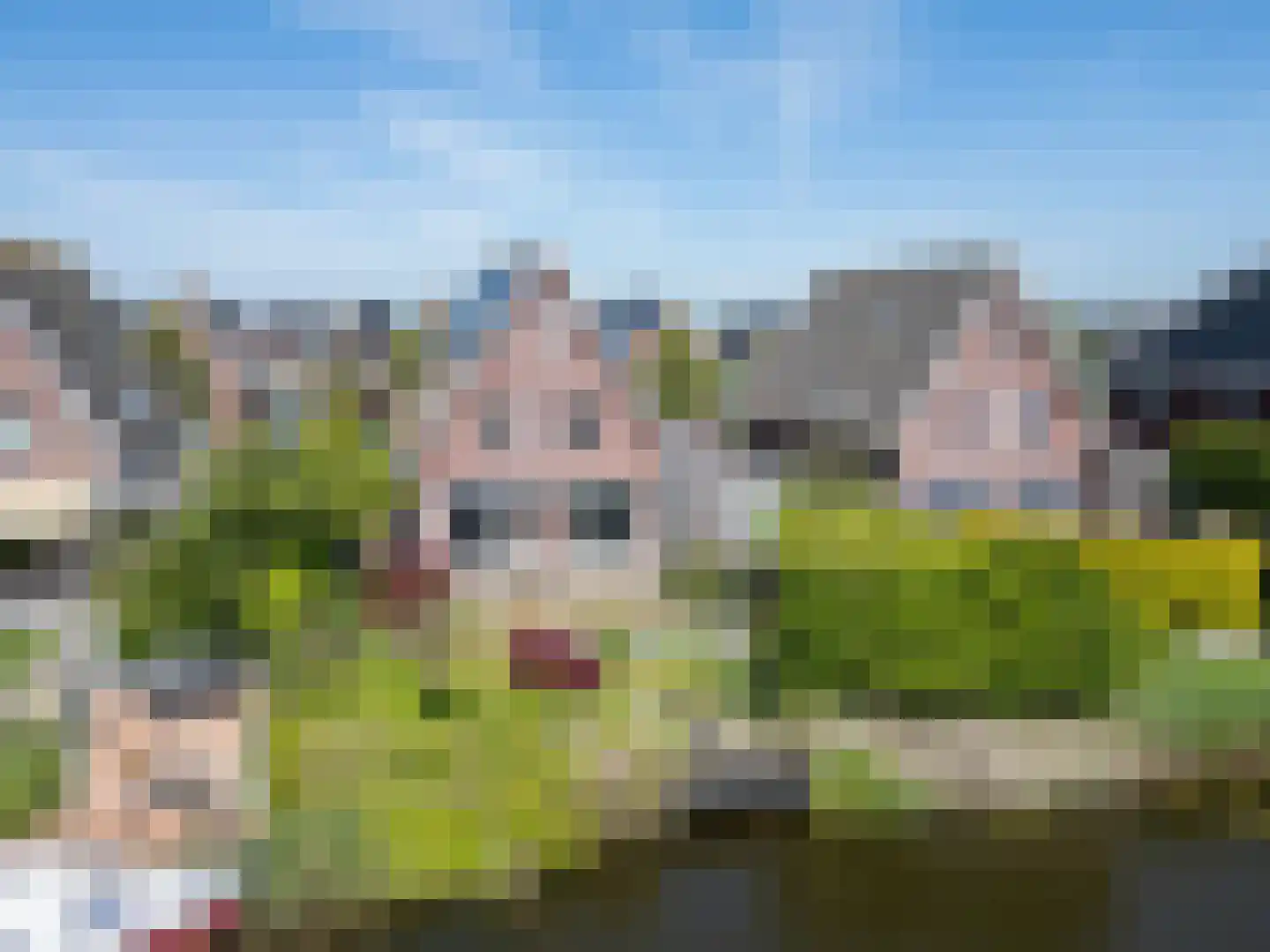 Wieger van Brugstrjitte 5 Workum thumbnail 4