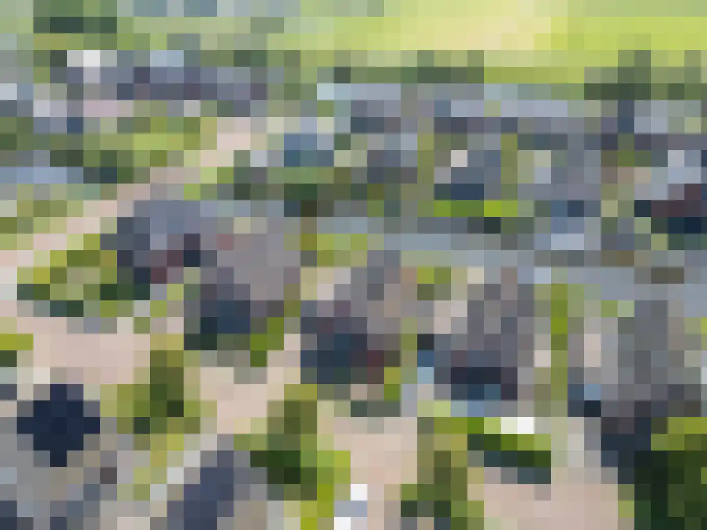 Wieger van Brugstrjitte 5 Workum thumbnail 42