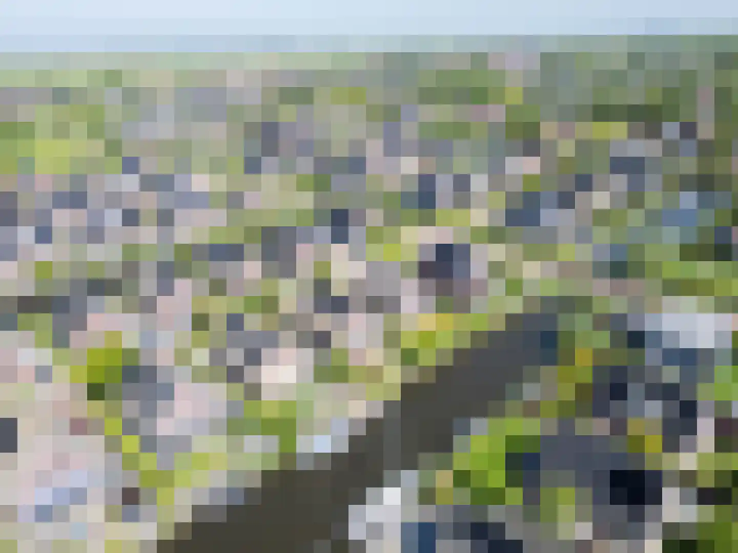 Wieger van Brugstrjitte 5 Workum thumbnail 45