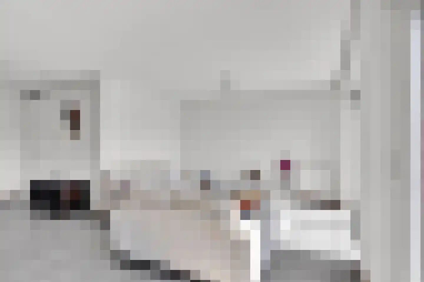 Wieger van Brugstrjitte 5 Workum thumbnail 9