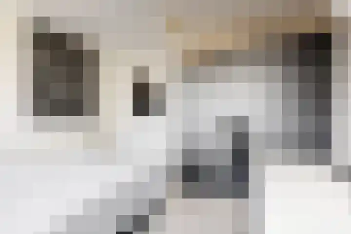 Wiegerbruinlaan 45 Uithoorn thumbnail 21