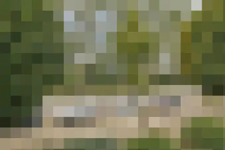 Wiegerbruinlaan 69 Uithoorn thumbnail 18