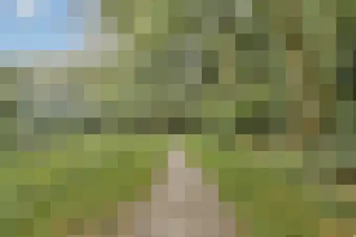 Wiegerbruinlaan 69 Uithoorn thumbnail 30