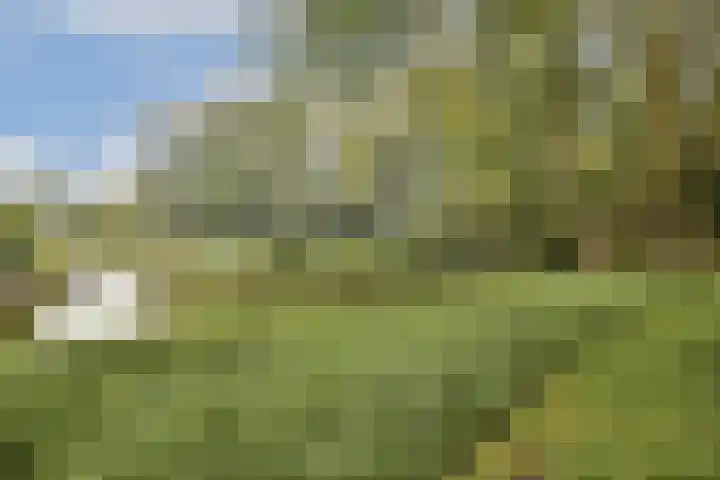 Wiegerbruinlaan 69 Uithoorn thumbnail 31