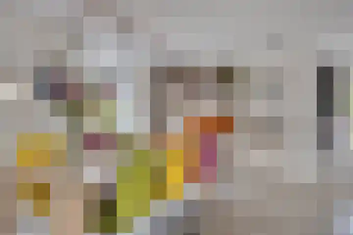 Wiegersmastraat 1 A Lith thumbnail 11