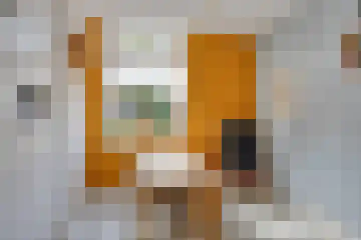 Wiegersmastraat 1 A Lith thumbnail 13