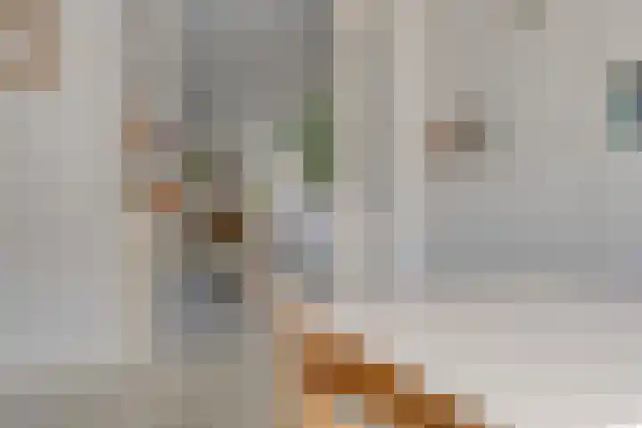 Wiegersmastraat 1 A Lith thumbnail 14