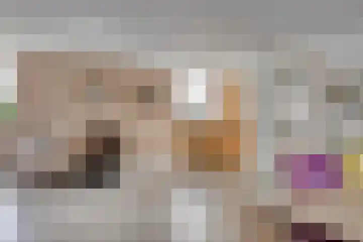 Wiegersmastraat 1 A Lith thumbnail 15