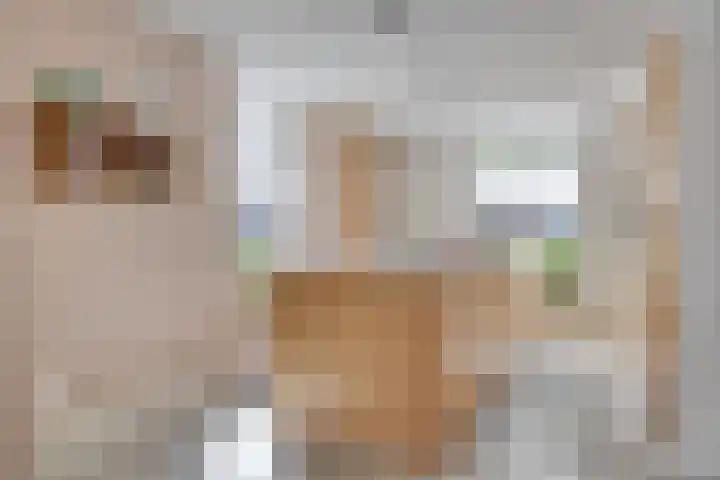 Wiegersmastraat 1 A Lith thumbnail 16