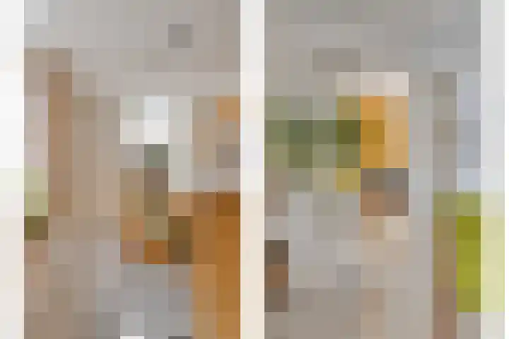 Wiegersmastraat 1 A Lith thumbnail 19