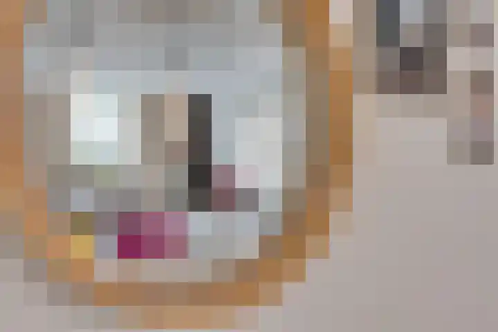 Wiegersmastraat 1 A Lith thumbnail 20