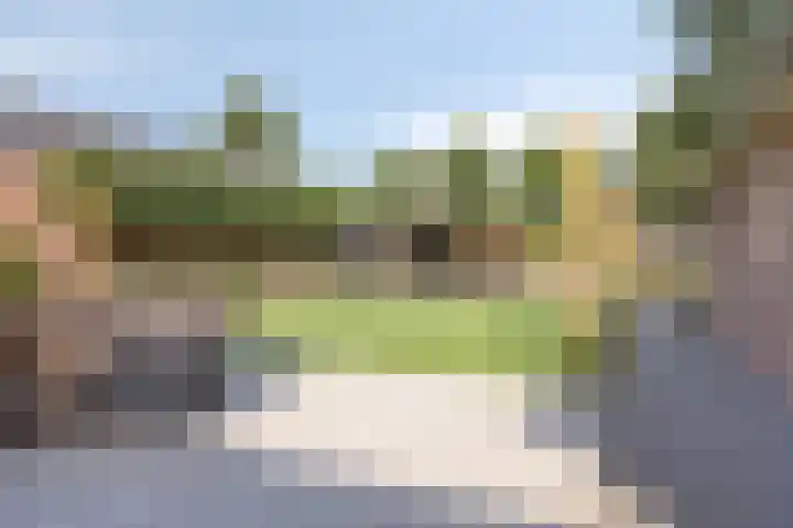 Wiegersmastraat 1 A Lith thumbnail 23
