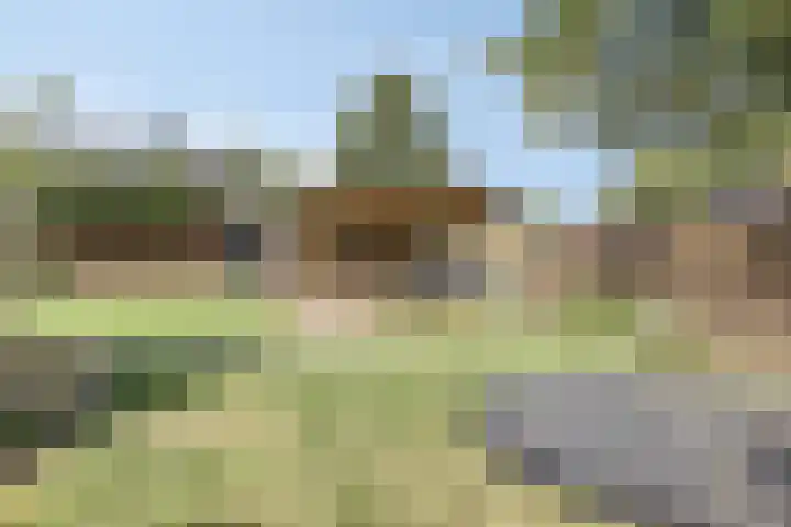 Wiegersmastraat 1 A Lith thumbnail 27