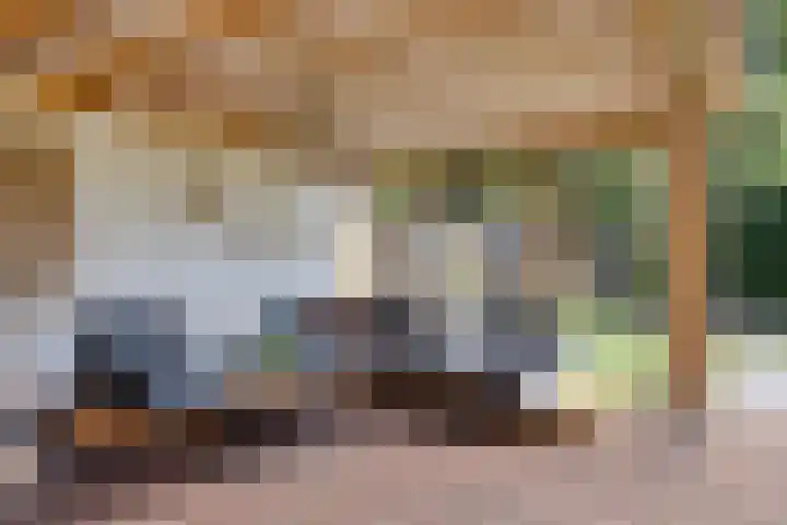 Wiegersmastraat 1 A Lith thumbnail 28