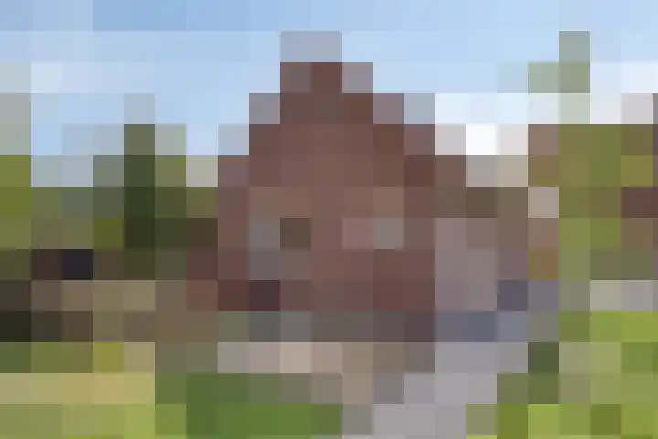 Wiegersmastraat 1 A Lith thumbnail 30